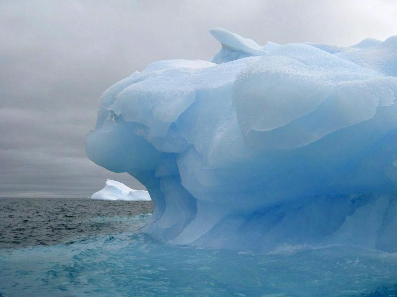 Weddellmeer / Antarktis: EU reicht Antrag für Meeresschutzgebiet ein