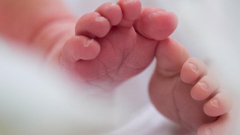 32-Jährige wegen Aussetzens ihres Säuglings auf Wiese in Augsburg vor Gericht