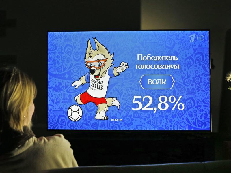 Russland wählt Maskottchen für Fußball-WM 2018