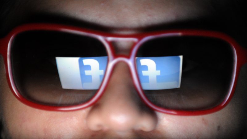 Österreichische Grünen-Chefin verliert Prozess – Facebook-Nutzer wird frei gesprochen