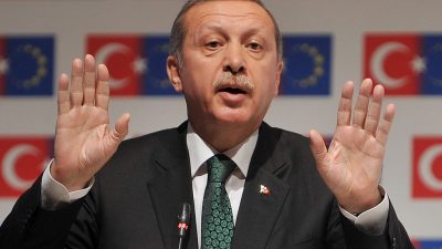 Präsidentensprecher: Erdogan hat all seine Devisen in türkische Lire gewechselt