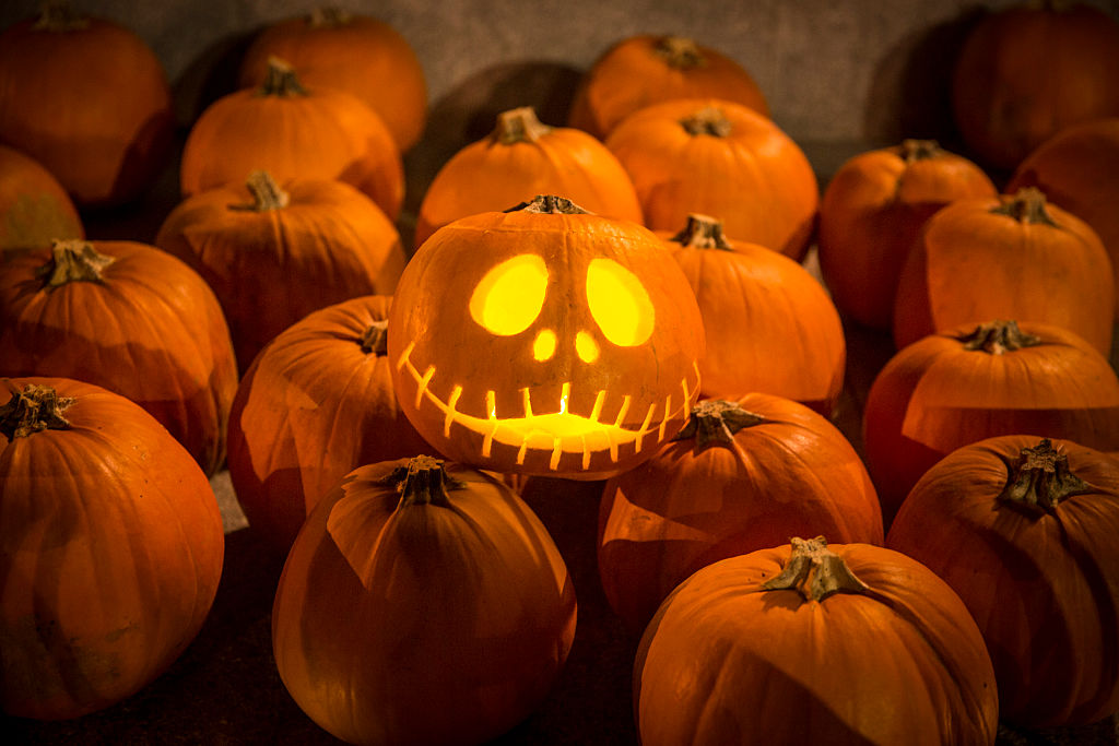 Mann mit Pistole versetzt Kinder auf Süßigkeitensuche zu Halloween in Todesangst