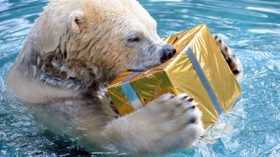 Weihnachten: Umweltbundesamt rät zu Verzicht auf Geschenke, Lichterketten, u.v.m.