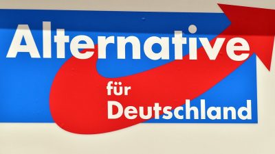 AfD untermauert in Magdeburg konservative Familienpolitik – Gender-Pädagogik wird scharf kritisiert