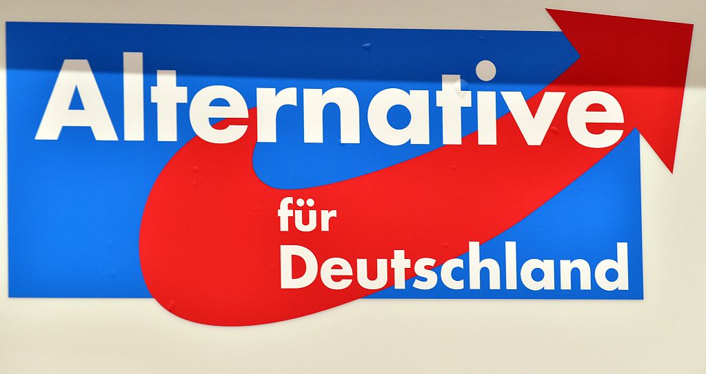 AfD untermauert in Magdeburg konservative Familienpolitik – Gender-Pädagogik wird scharf kritisiert