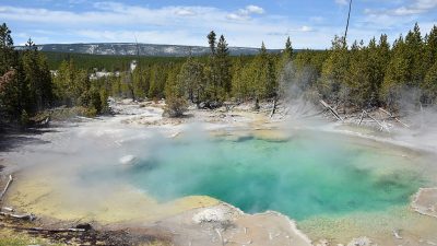 Unglücksopfer im Yellowstone-Park von säurehaltigem Wasser aufgelöst