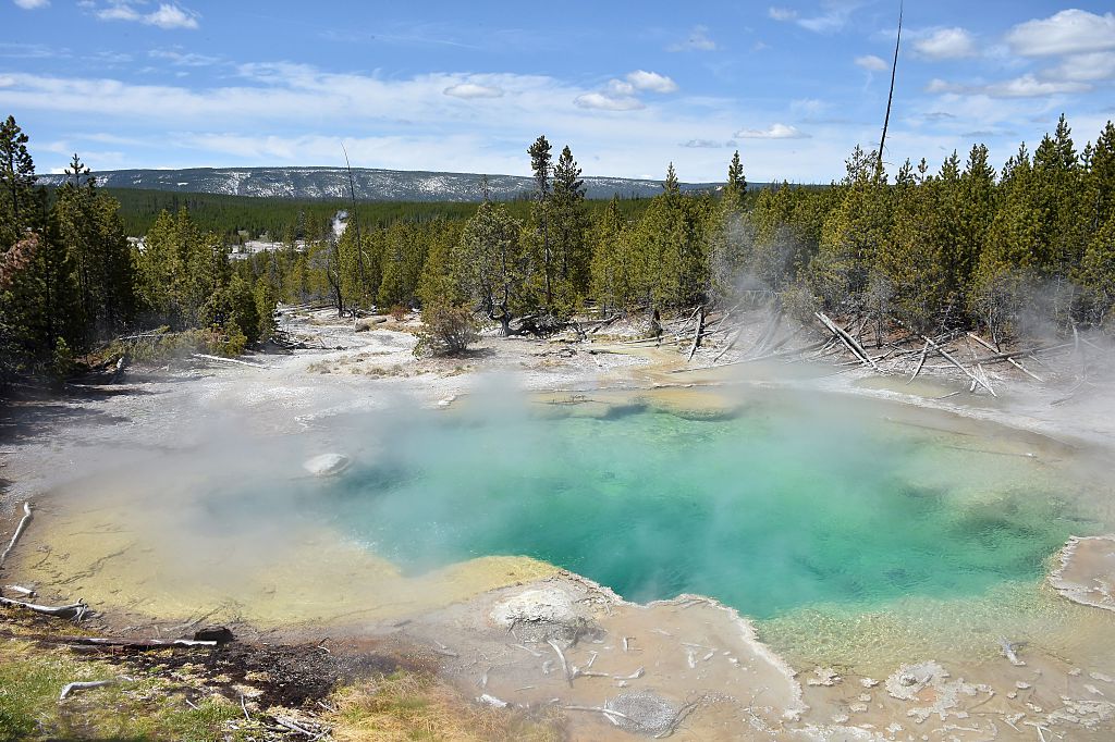 Unglücksopfer im Yellowstone-Park von säurehaltigem Wasser aufgelöst