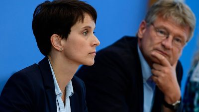 Merkel fügt Europa „nachhaltigen Schaden“ zu: AfD bietet sich in Telegramm an Trump als „natürliche Verbündete“ an