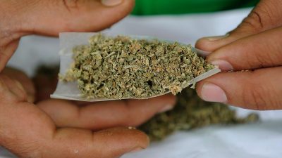 Cannabis & Co.: Kalifornien stimmt für die Legalisierung von Marihuana