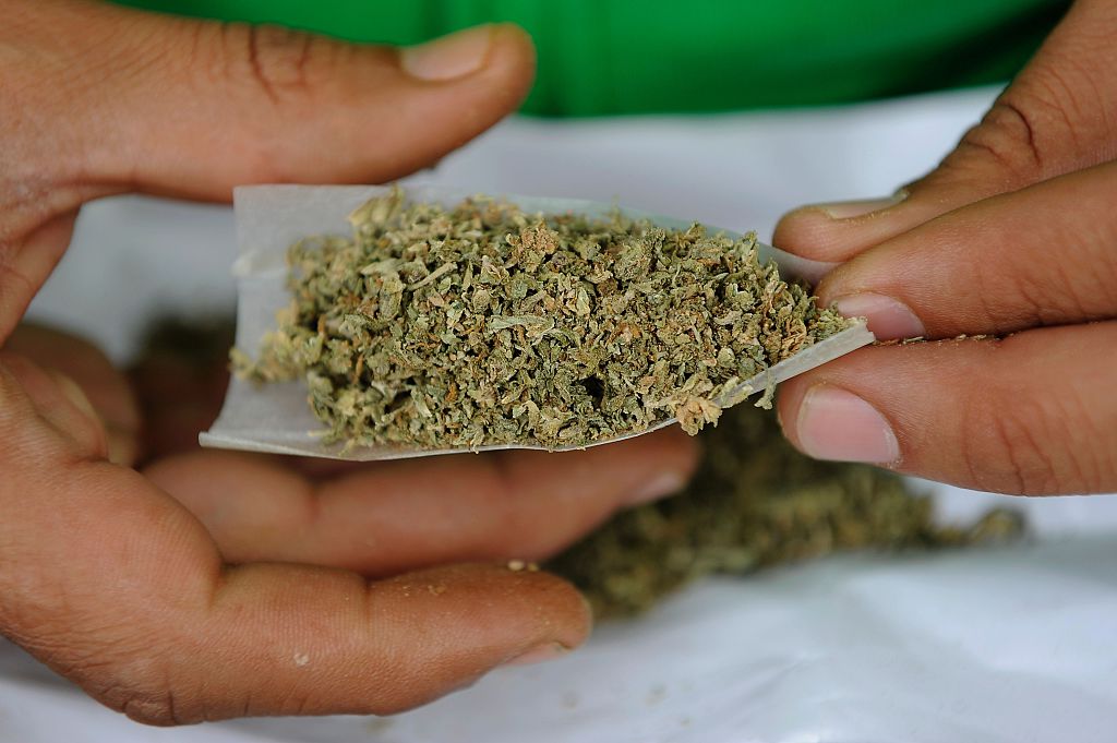 Cannabis & Co.: Kalifornien stimmt für die Legalisierung von Marihuana