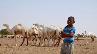 Zahlreiche Menschen bei Kämpfen zwischen Hirten und Bauern in Niger getötet