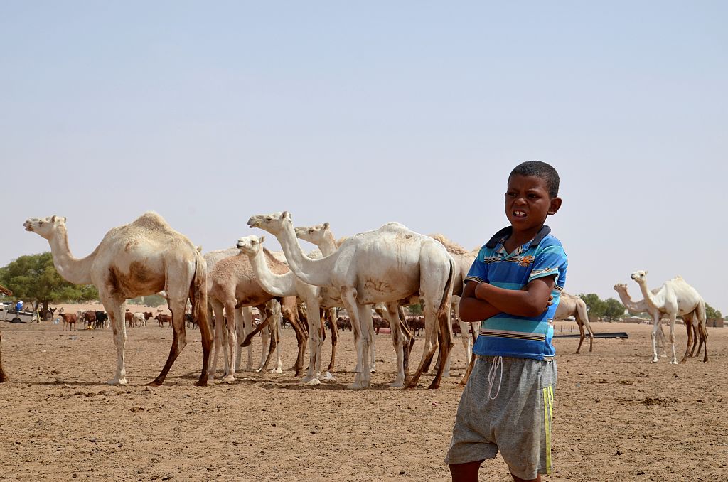 Zahlreiche Menschen bei Kämpfen zwischen Hirten und Bauern in Niger getötet