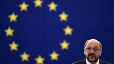 Schulz ruft „proeuropäische Kräfte“ zur Zusammenarbeit auf