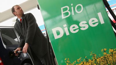 Studie zeigt: Importiertes Palmöl landet immer häufiger im Biodiesel