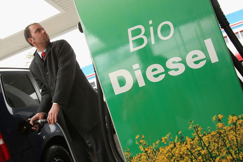Studie zeigt: Importiertes Palmöl landet immer häufiger im Biodiesel