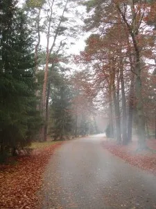 Südwestkirchhof Stahnsdorf. Foto: Renate Lilge-Stodieck
