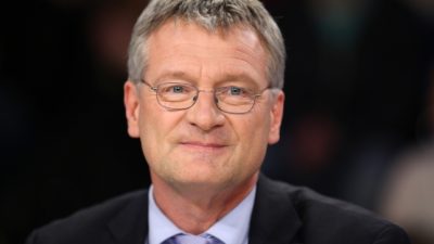 AfD-Chef Meuthen betrachtet Trumps Wahlsieg mit gemischten Gefühlen