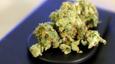 Weitere US-Bundesstaaten stimmen für Legalisierung von Marihuana
