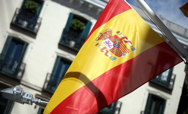 ESM-Chef: Sanierungen in Spanien und Irland sind „Erfolgsgeschichte“