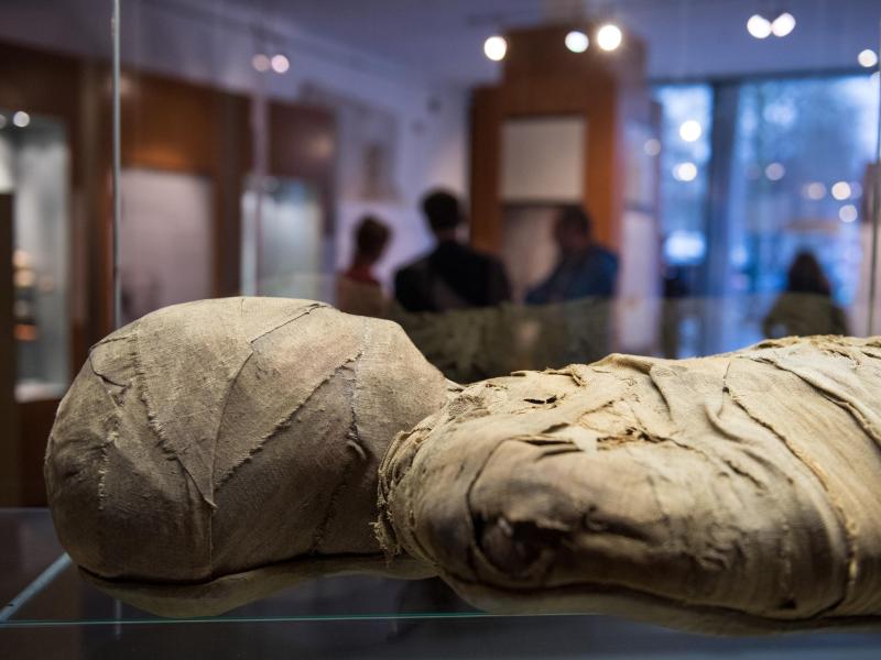Naturkundemuseum in New York zeigt Mumien im Scanner
