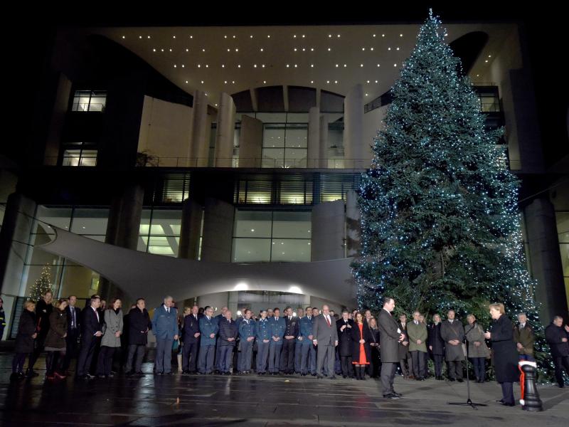 Merkel nimmt Weihnachtsbäume für das Kanzleramt entgegen