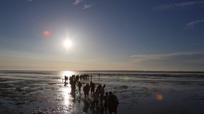 Gutachten: Geplante Ölbohrungen durch DEA im Nationalpark Wattenmeer nicht rechtens