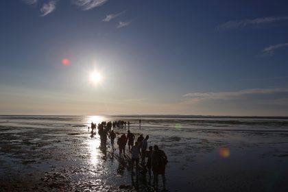 Gutachten: Geplante Ölbohrungen durch DEA im Nationalpark Wattenmeer nicht rechtens
