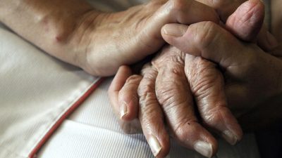 Helfen Milchsäurebakterien gegen Alzheimer?