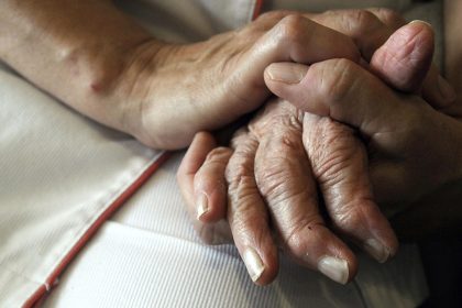 Helfen Milchsäurebakterien gegen Alzheimer?