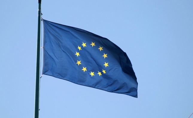 Wirtschaftsministeriums-Digitalberater wollen einheitliche Regeln in Europa