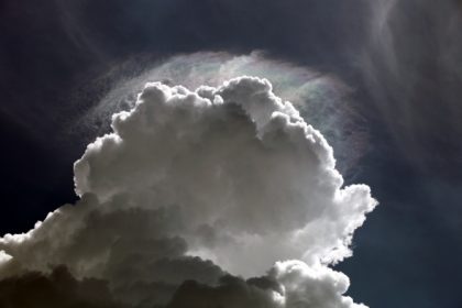 Bundesstiftung Umwelt: Politiker und Prominente verharmlosen den Klimawandel