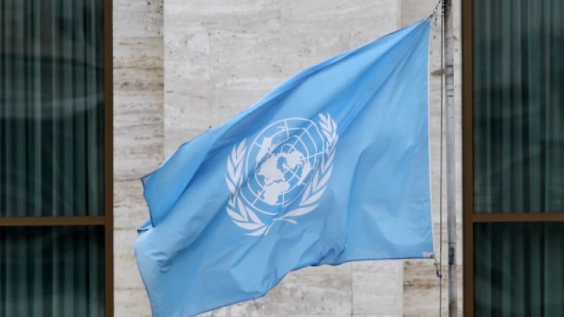 UN-Sicherheitsrat beschließt Beobachter-Mission für Aleppo