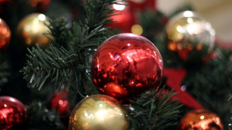Zahl der importierten Weihnachtsbäume um 14,5 Prozent gesunken