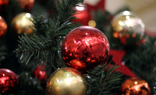 Umfrage: Fünf Prozent haben Weihnachtsbaum schon online bestellt