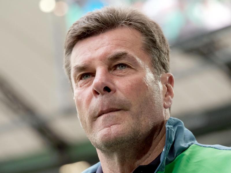 «Bild»: Hecking wird neuer Gladbach-Trainer