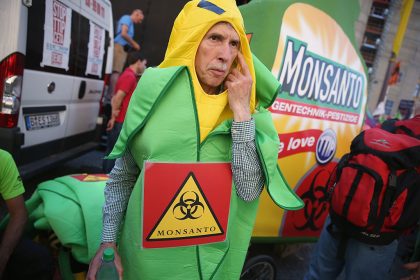 Neue Studie zeigt bedenkliche molekulare Unterschiede zwischen GMO- und Nicht-GMO-Mais