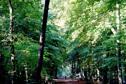 Städte sind Krebszentren: Umzug aufs Land mindert das Risiko an Krebs zu erkranken