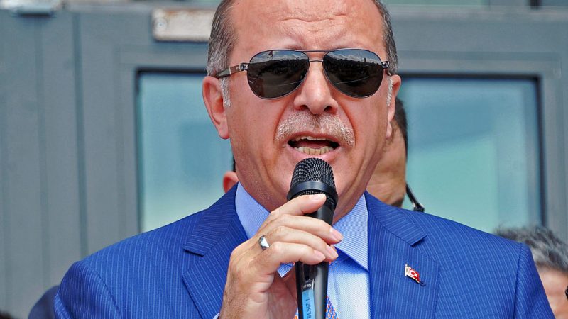 „Bild“: Erdogan kommt im März zu Werbeauftritt für Referendum nach Deutschland