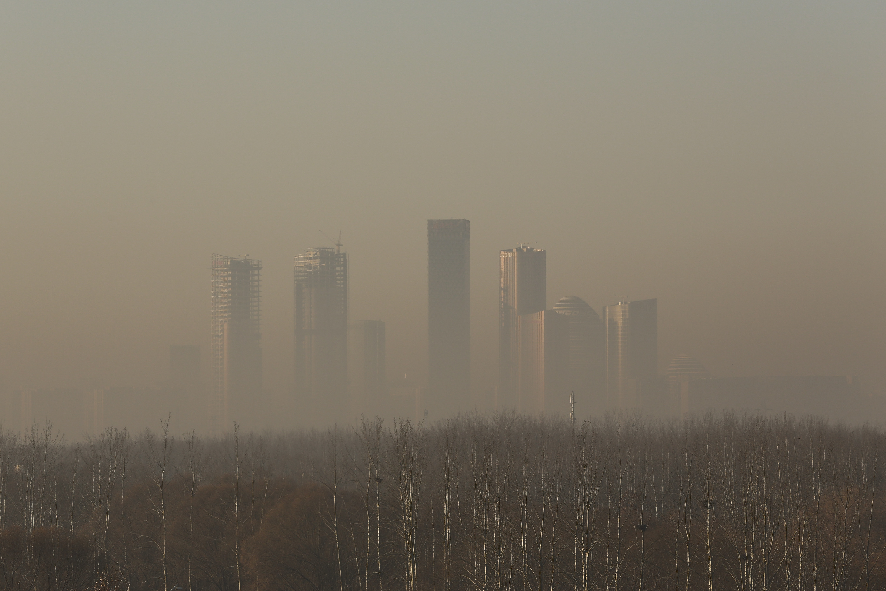 Chinas gruselige Smog-Phänomene: Abstürzende Vögel, zensierte Apps