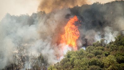 Ende der Waldbrände in Chile in Sicht