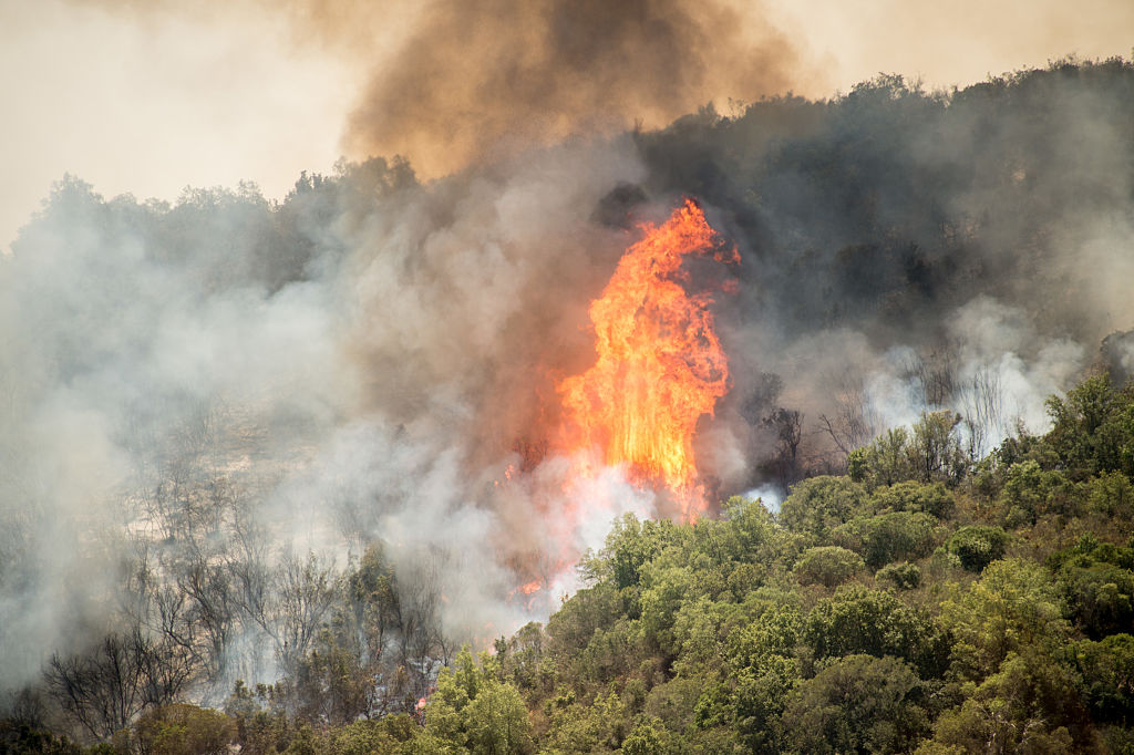 Chile ruft wegen schwerer Waldbrände Katastrophenzustand aus
