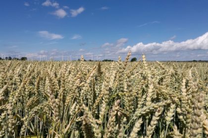 Bauern wollen in Diskussion um Landwirtschaft in die Offensive gehen