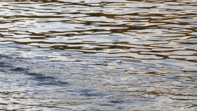 Bericht: Nitratwerte in Grundwasser und Flüssen weiter zu hoch