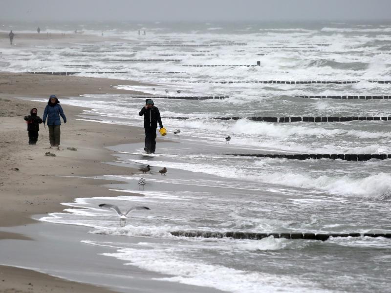 Umweltorganisation WWF warnt vor steigendem Meeresspiegel an deutschen Küsten