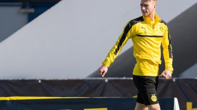 Reus, Badstuber und Co. greifen wieder an