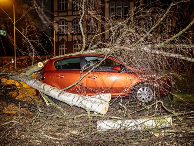 Ein umgestürzter Baum liegt in Wiesbaden auf einem Auto. Foto: Wiesbaden112 GbR/dpa