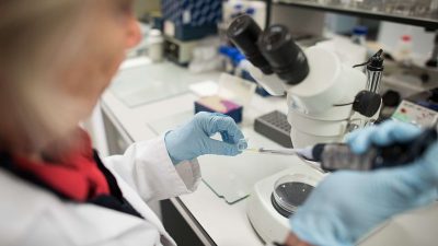 Genetisch manipulierbare Menschheit: US-Wissenschaftlergruppe spricht sich für Eingriffe in menschliche DNA aus