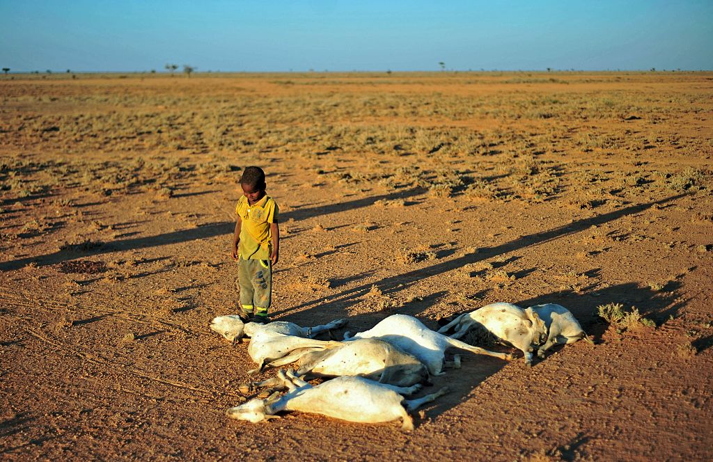 Wasserknappheit: Hunger und Cholera fordern in Somalia über 110 Todesopfer
