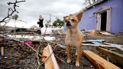 New Orleans: Tornado hinterlässt Zerstörungen und Verletzte