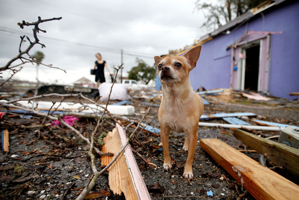 New Orleans: Tornado hinterlässt Zerstörungen und Verletzte
